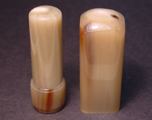 ���p�i�F�j�̎ʐ^�P