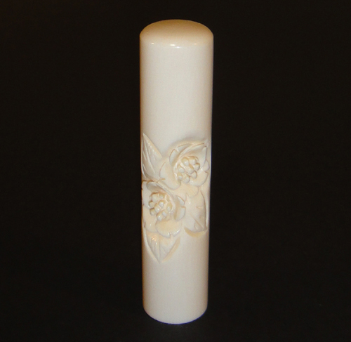 �ցi���j�̒�������ۉ�̈�ӂ̎ʐ^